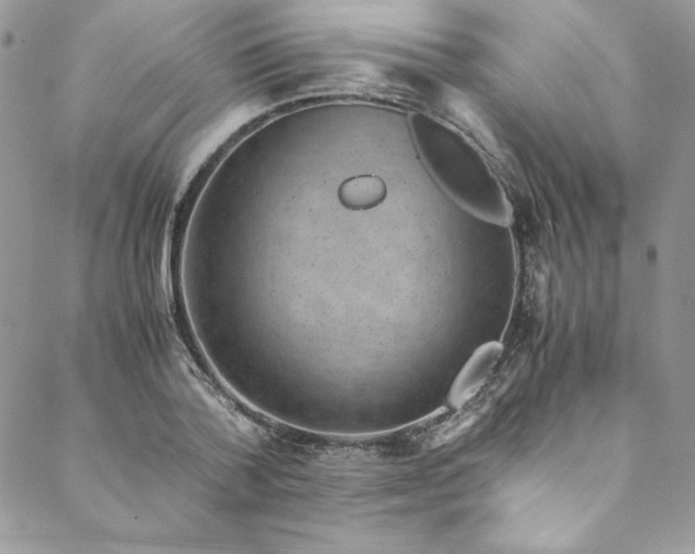 X0000088600788200706081351