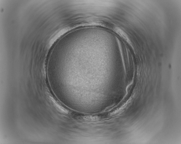 X0000088600789200706081351