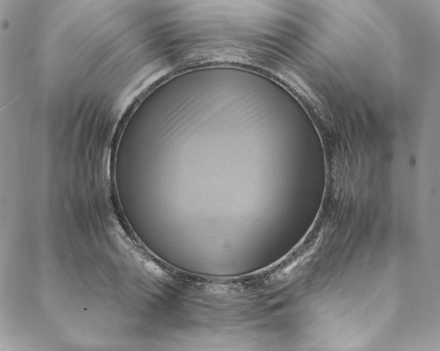 X0000088600790200706081351