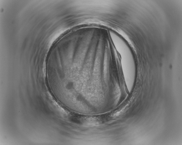 X0000088600791200706081351