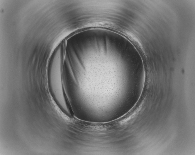 X0000088600792200706081351