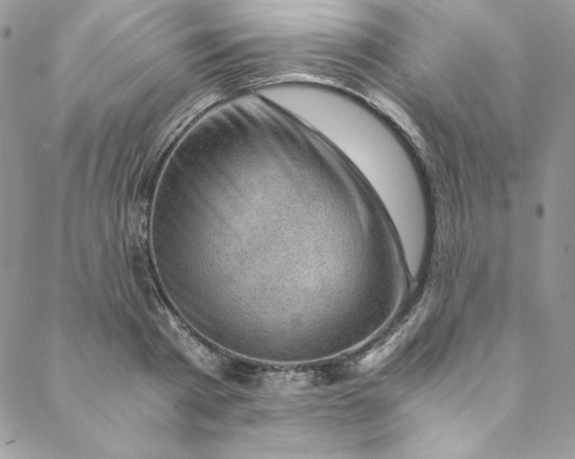 X0000088600793200706081351