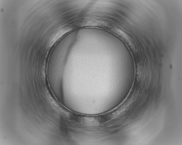 X0000088600794200706081351