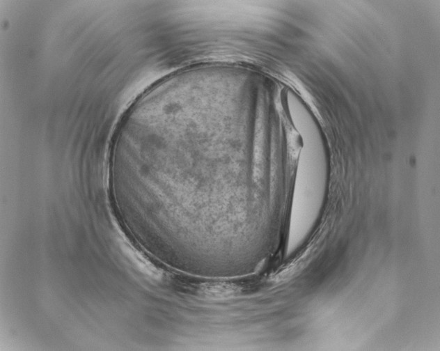 X0000088600795200706081351