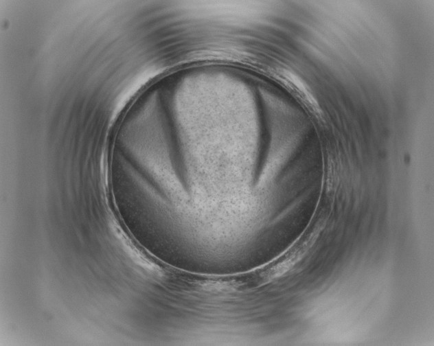 X0000088600796200706081351