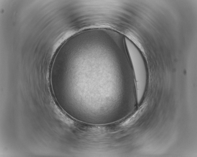 X0000088600797200706081351