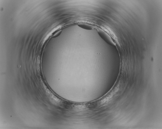 X0000088600798200706081351