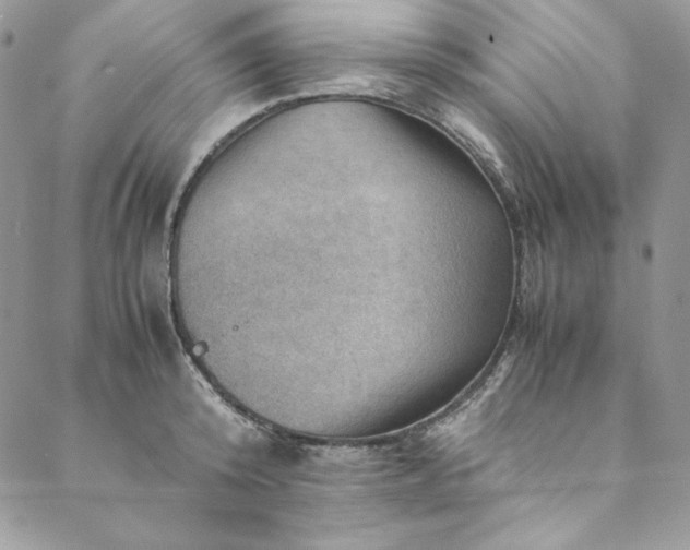 X0000088600800200706081351