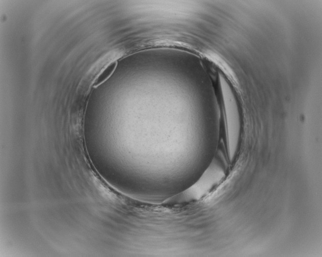 X0000088600801200706081351