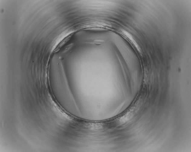 X0000088600802200706081351