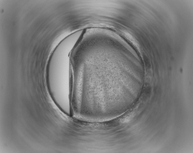 X0000088600803200706081351