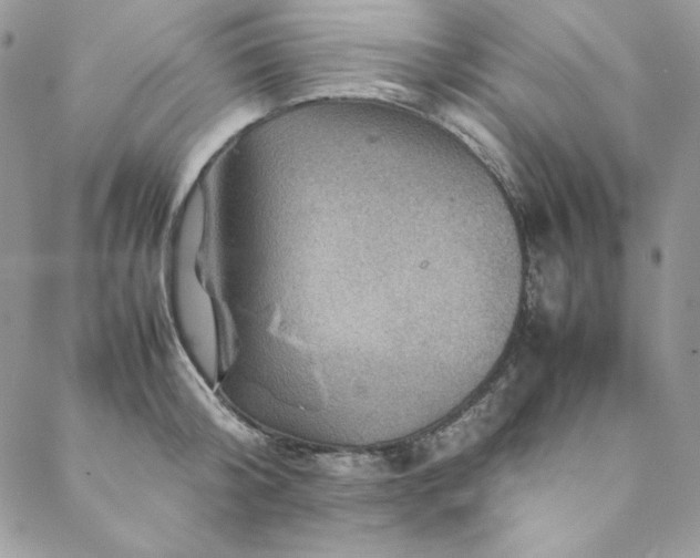 X0000088600804200706081351