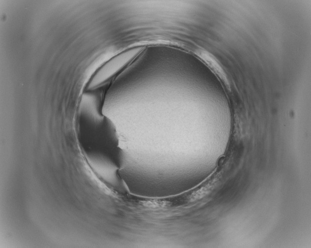 X0000088600805200706081351