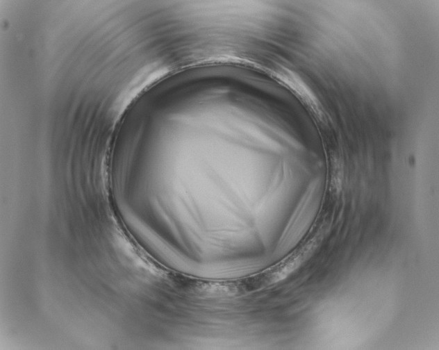 X0000088600806200706081351