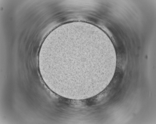 X0000088600807200706081351