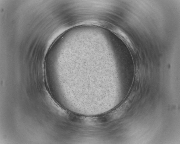 X0000088600808200706081351