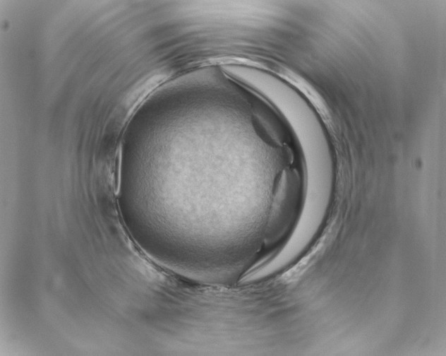 X0000088600809200706081351