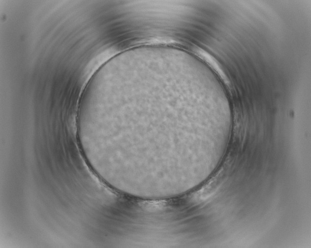 X0000088600810200706081351