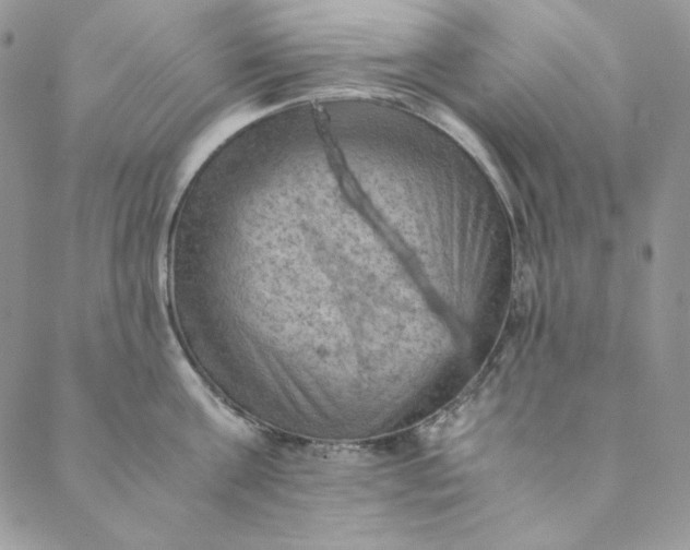 X0000088600811200706081351