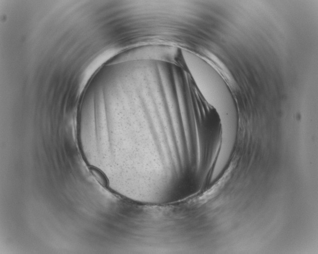 X0000088600812200706081351