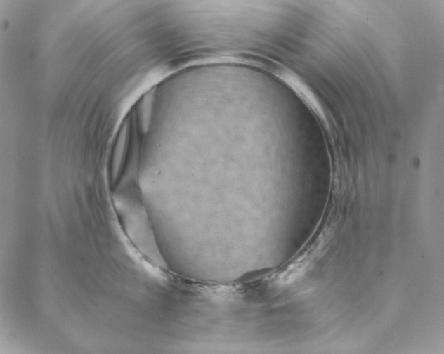 X0000088600813200706081351