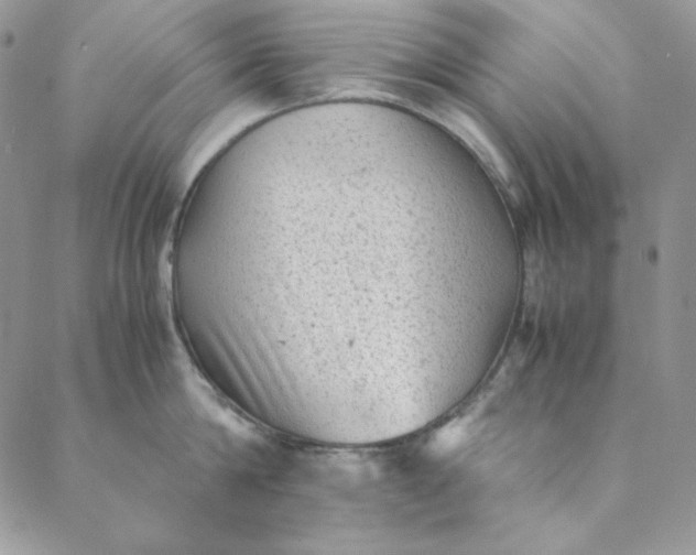 X0000088600814200706081351