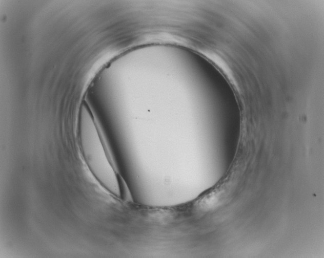 X0000088600815200706081351