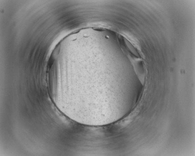 X0000088600816200706081351