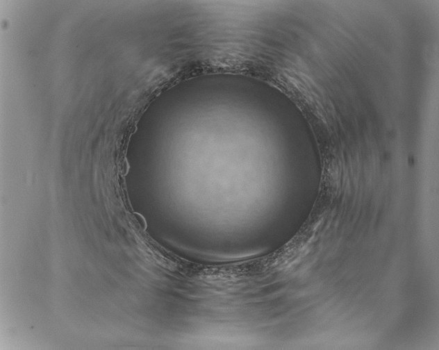 X0000088600817200706081350