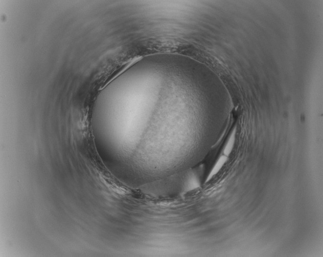 X0000088600818200706081350