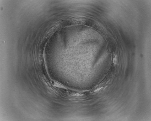 X0000088600819200706081350