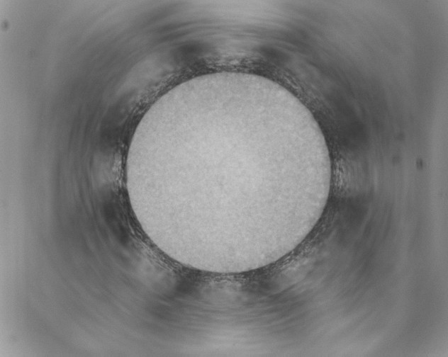 X0000088600820200706081350