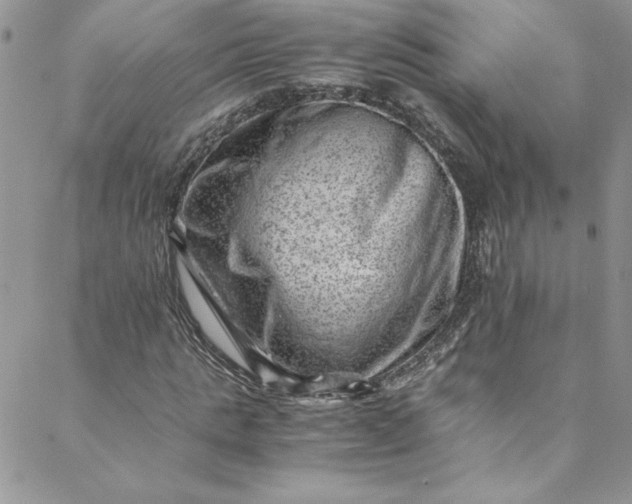 X0000088600821200706081350