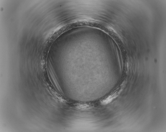 X0000088600822200706081350