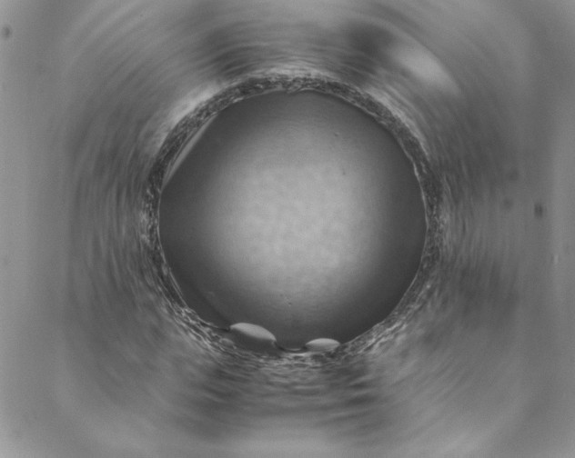 X0000088600823200706081350