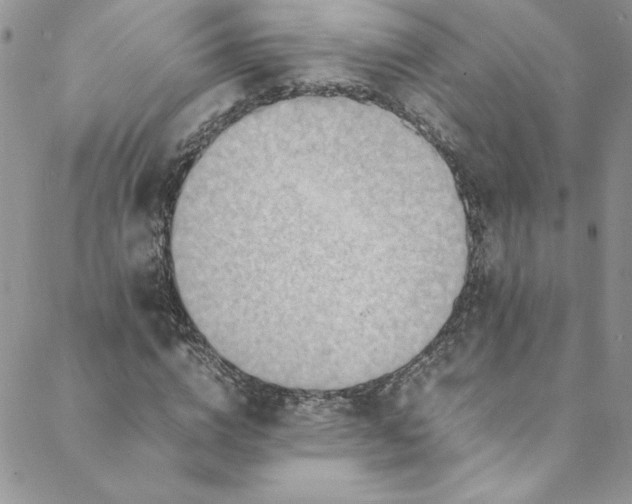 X0000088600824200706081350