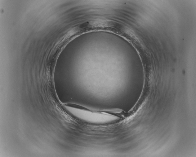 X0000088600825200706081350