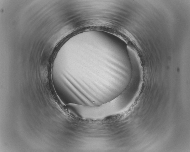 X0000088600826200706081350