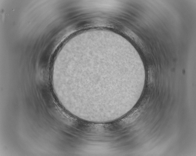 X0000088600828200706081350