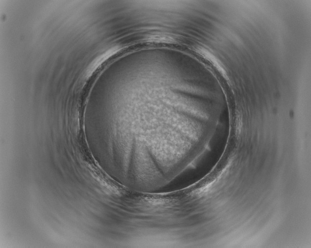 X0000088600829200706081350