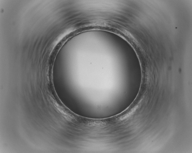 X0000088600830200706081350