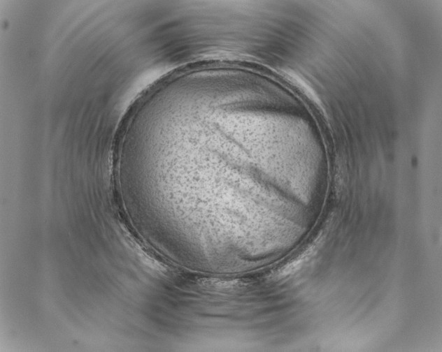 X0000088600831200706081350