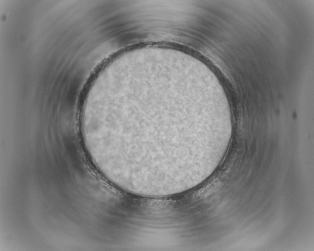 X0000088600832200706081350