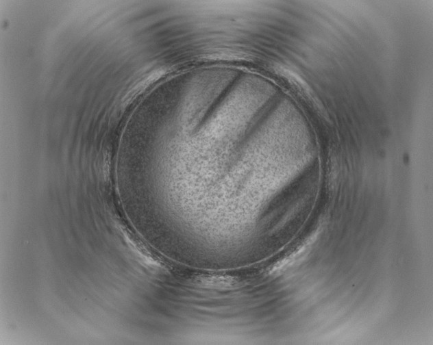 X0000088600833200706081350