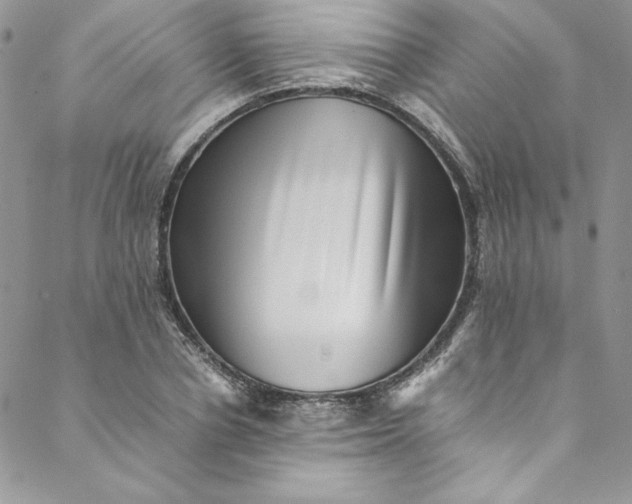 X0000088600834200706081350