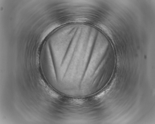 X0000088600835200706081350