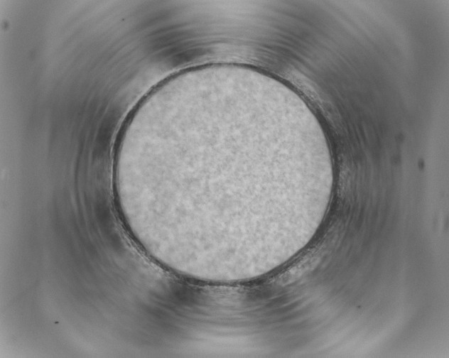 X0000088600836200706081350