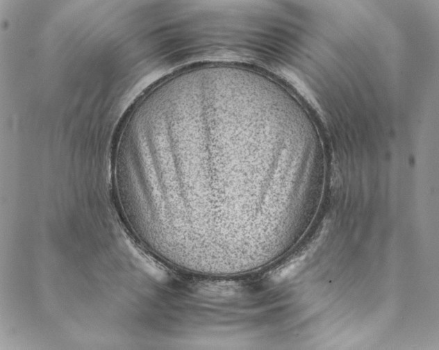 X0000088600837200706081350