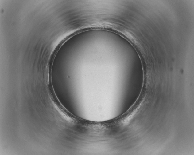 X0000088600838200706081350