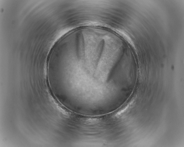 X0000088600839200706081350